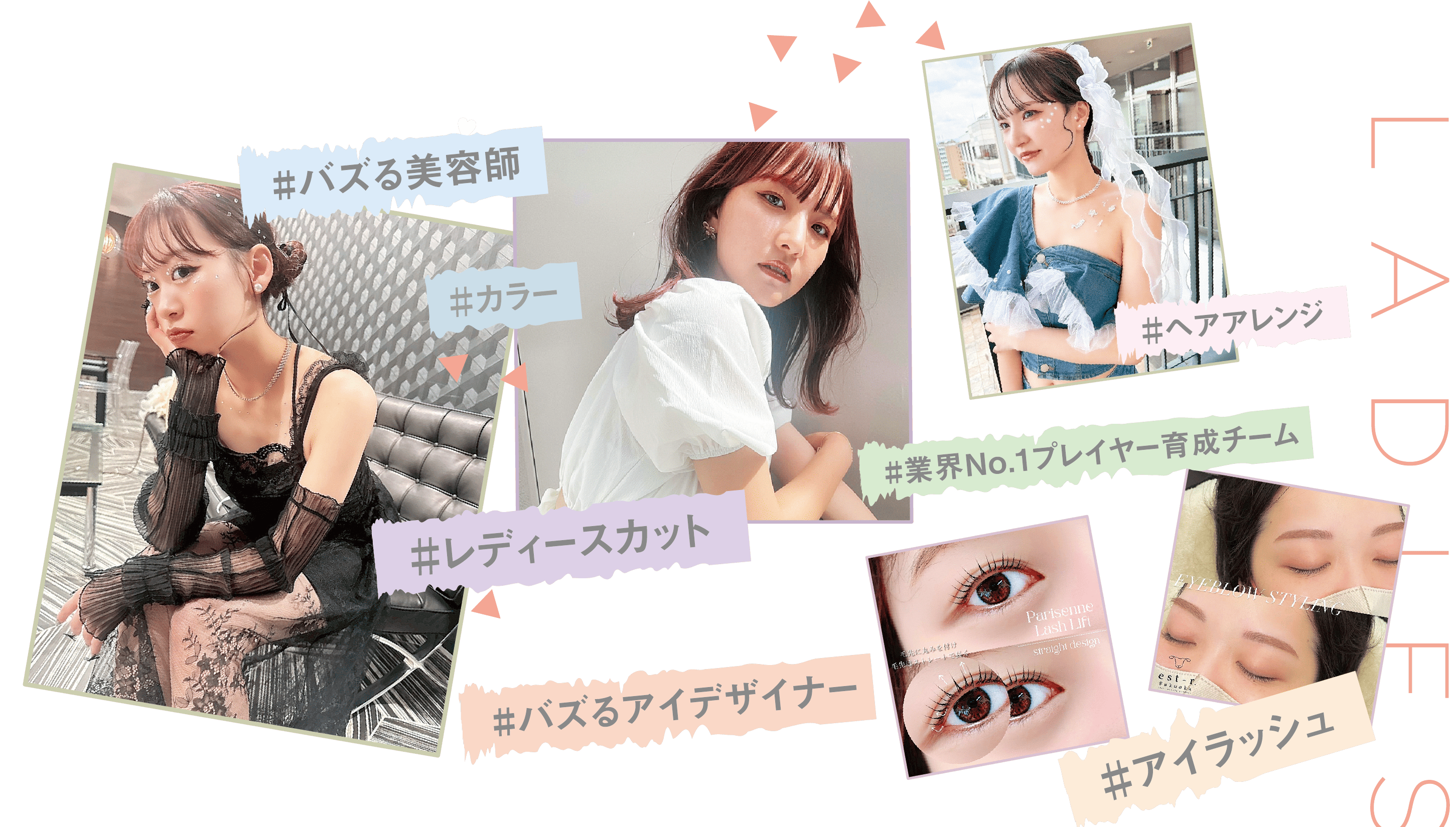 リンクボンド　イメージ